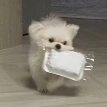 小羊阿基