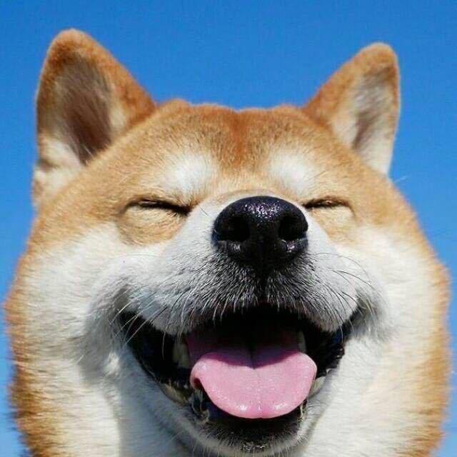 杨梅的账号啊