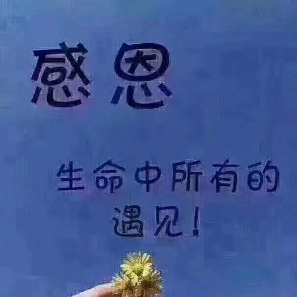 执迷不悔