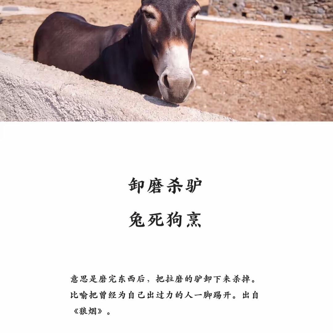 狡兔死走狗烹飞鸟尽良弓藏