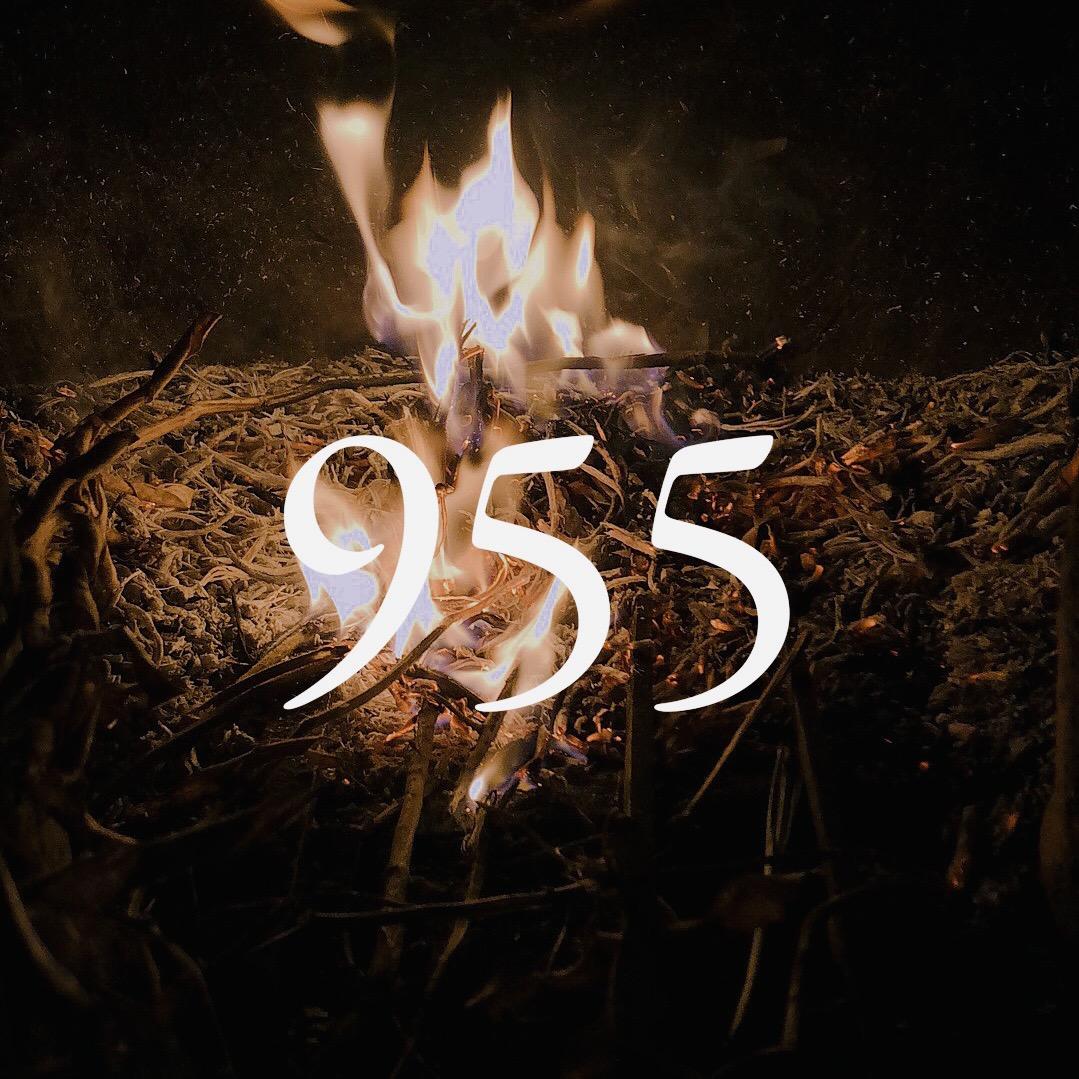 955篮球