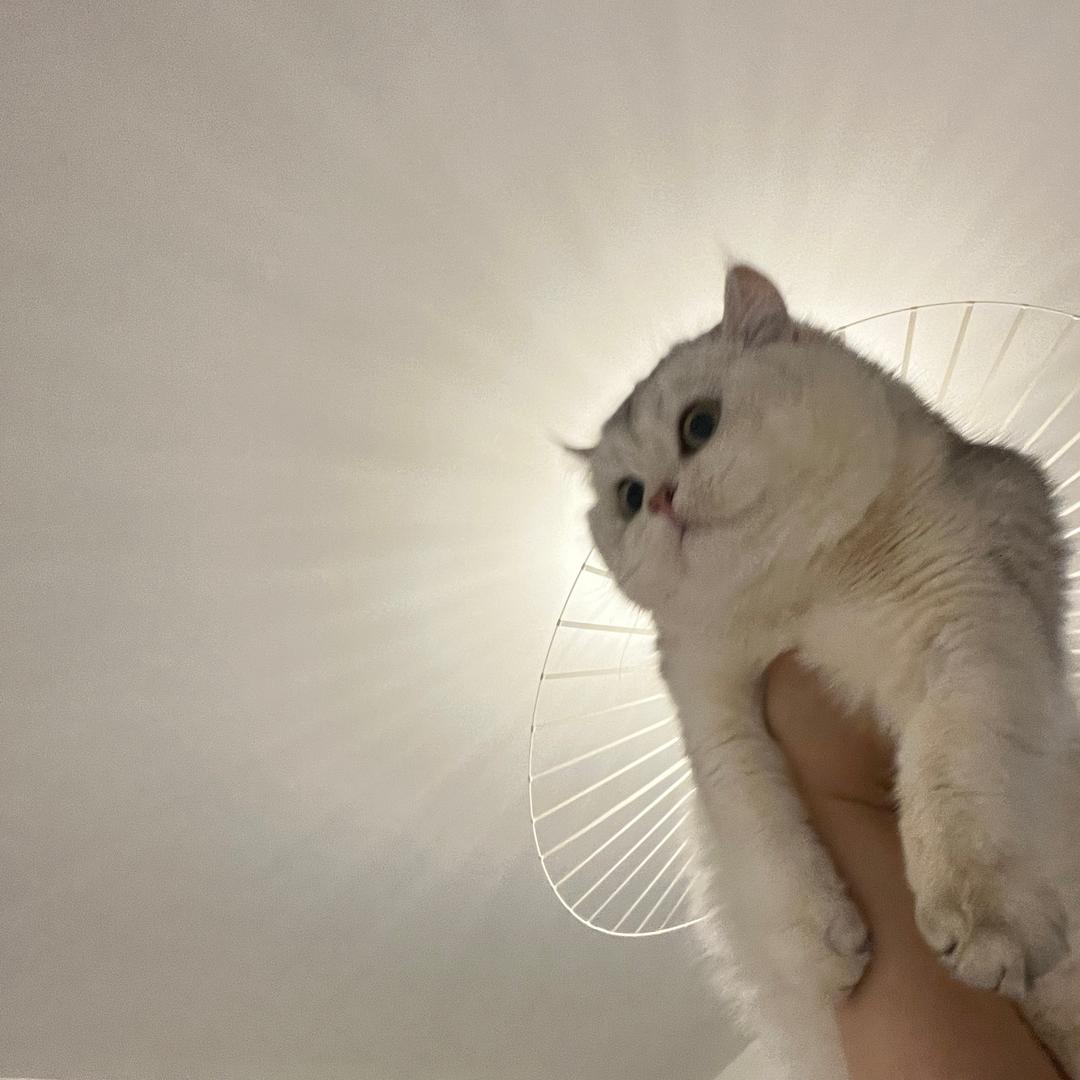 我有一头小毛驴～