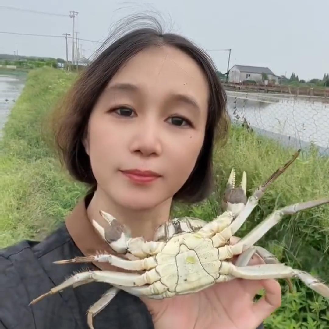 苏蟹拾秋大闸蟹