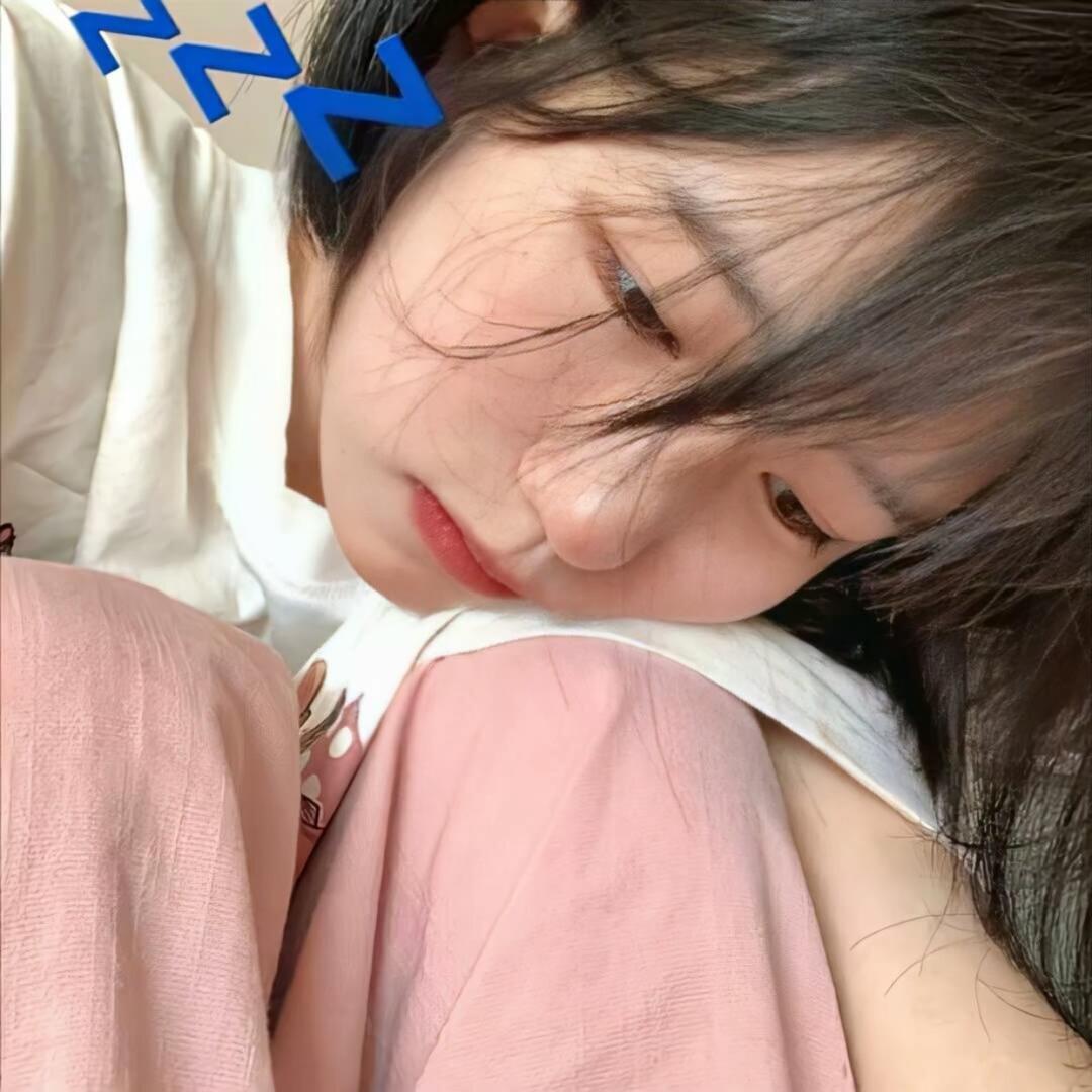 Camellia•pp