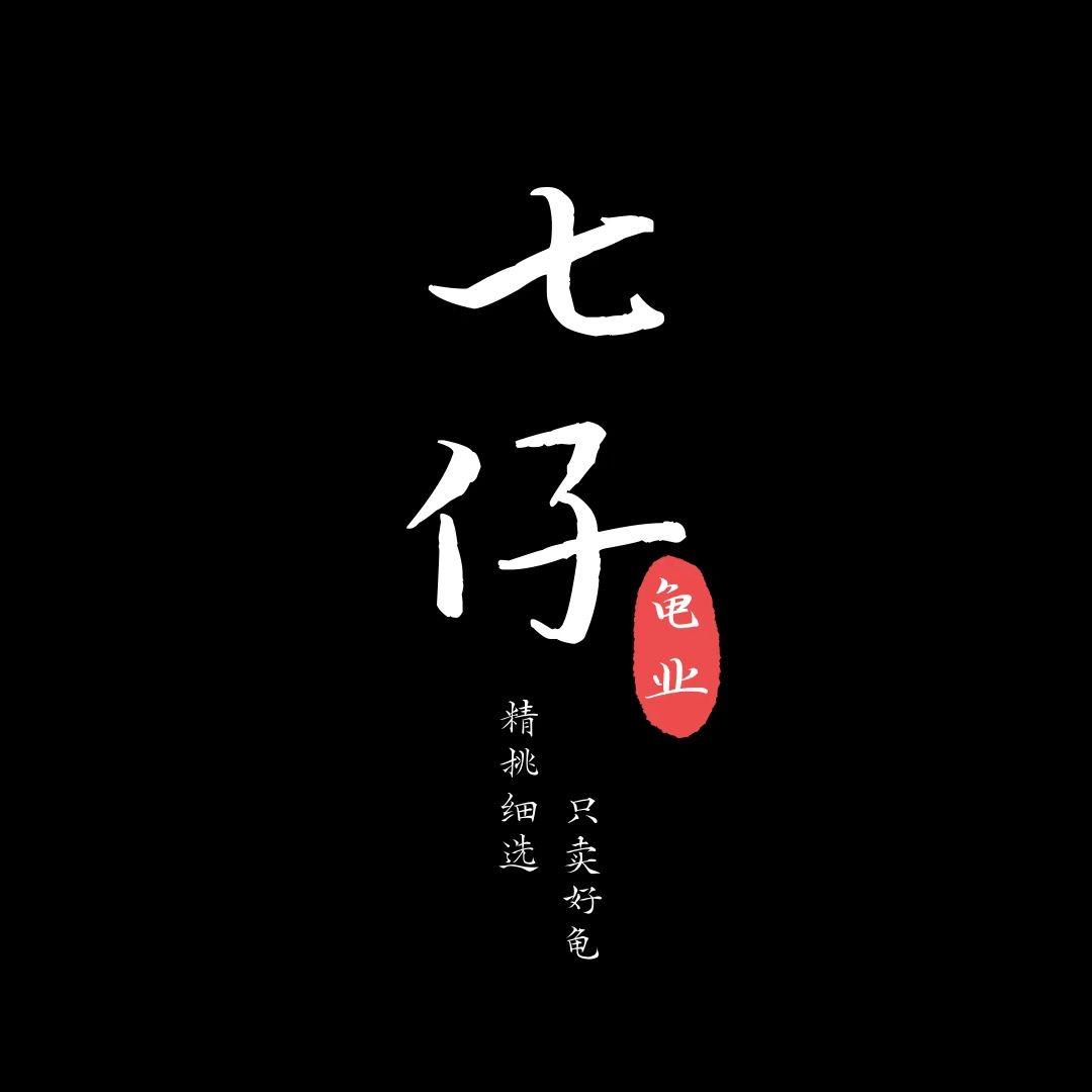 七仔名龟