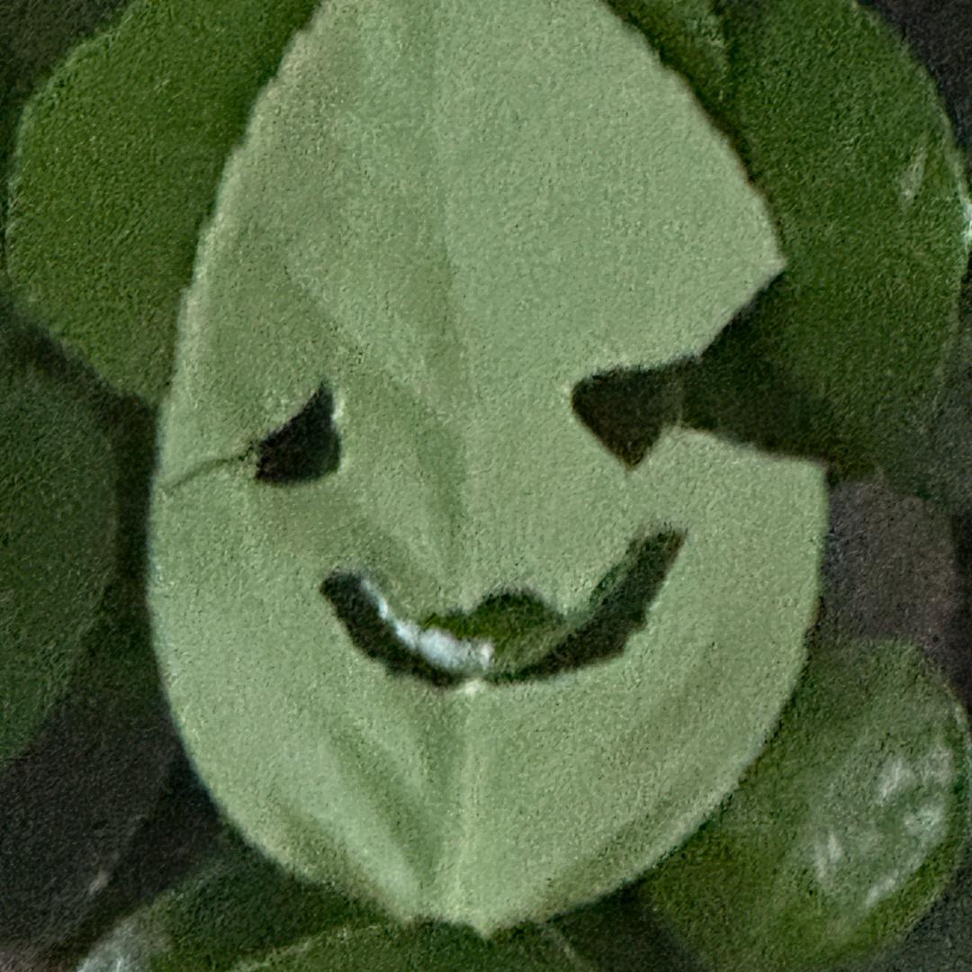(?)