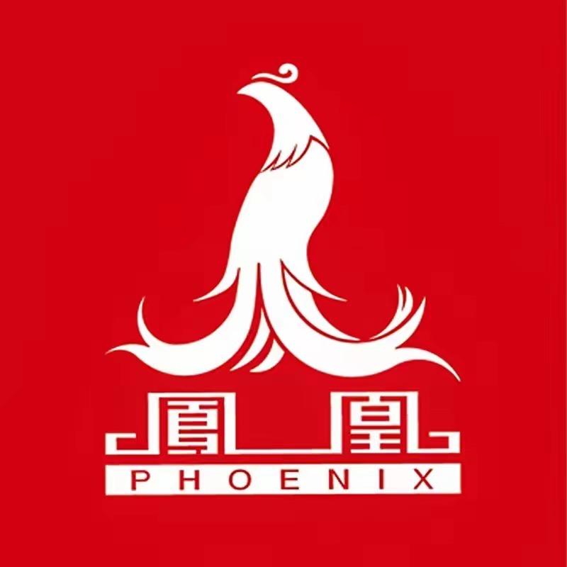 凤凰童车