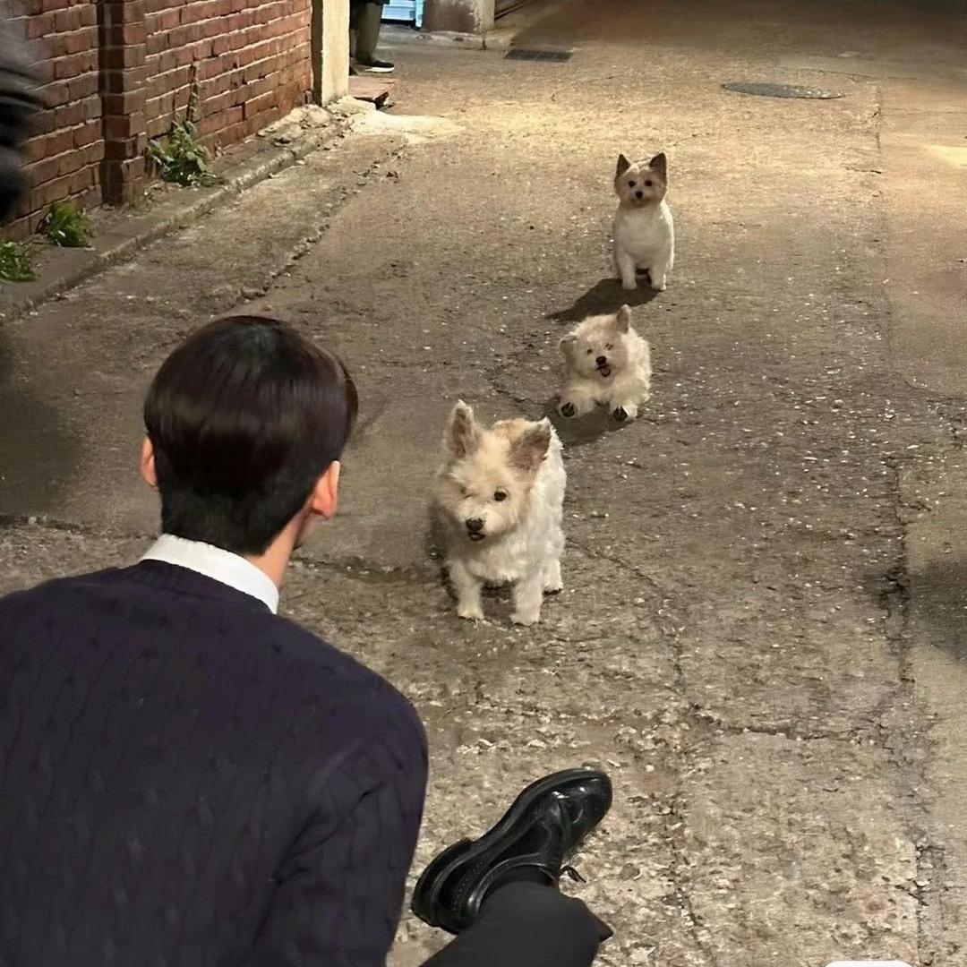 老 K 家超赞包包