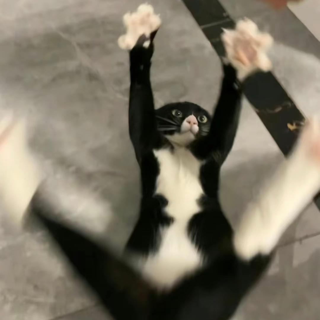 阿旭不是啊旭
