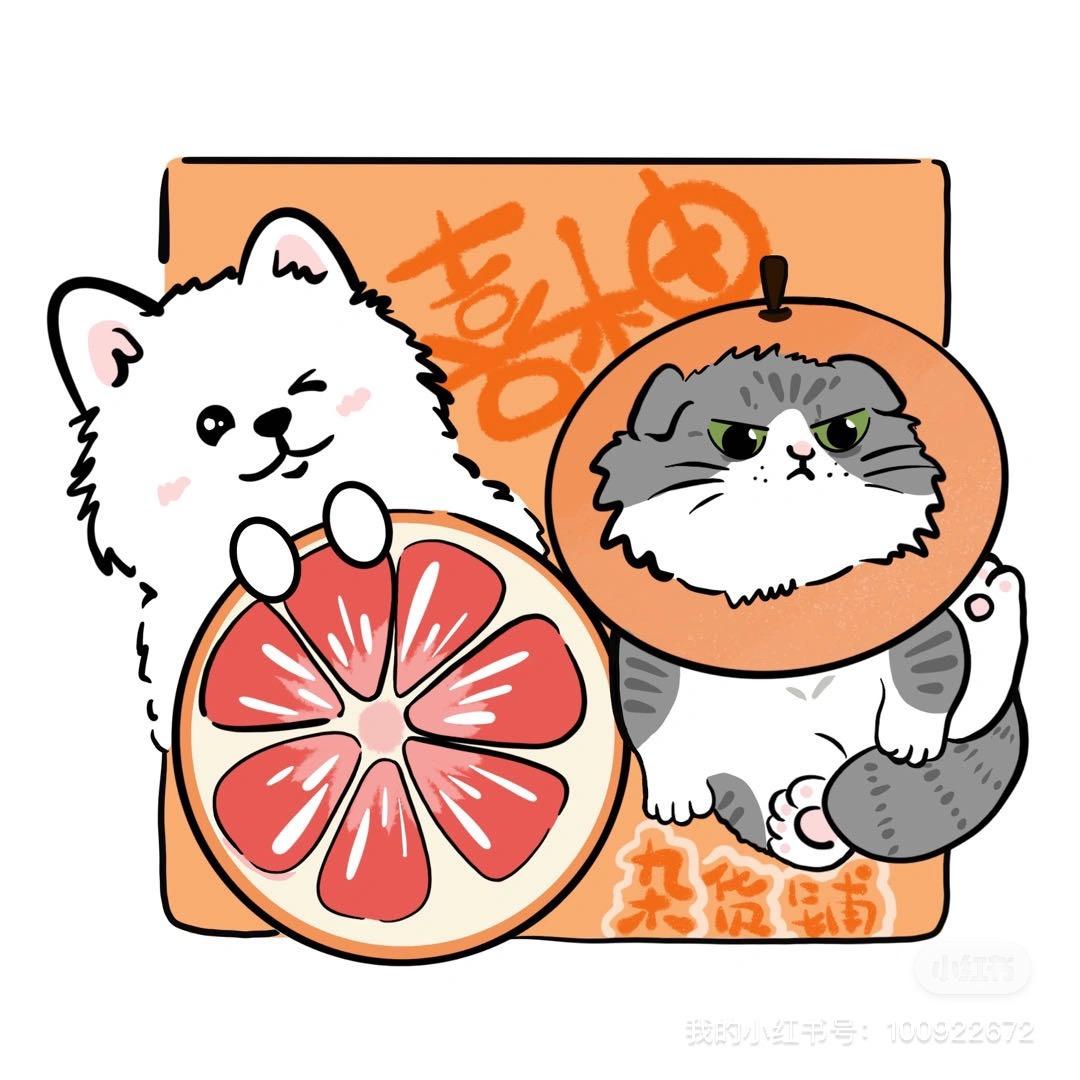 喜柚XIYO拆卡（复工版）