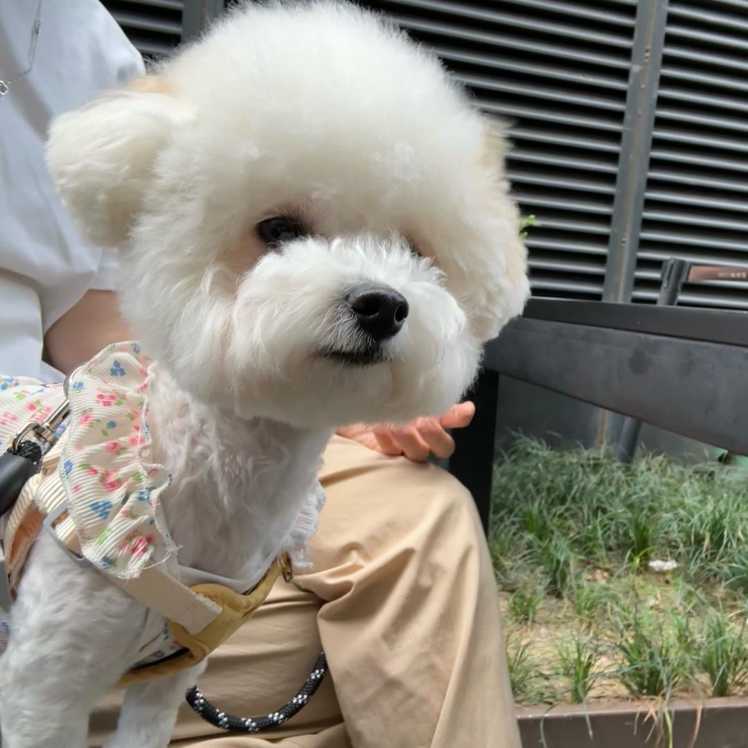 鱼架回