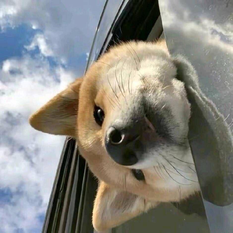 安庆市经开区源戴食品商行（个体工商户）