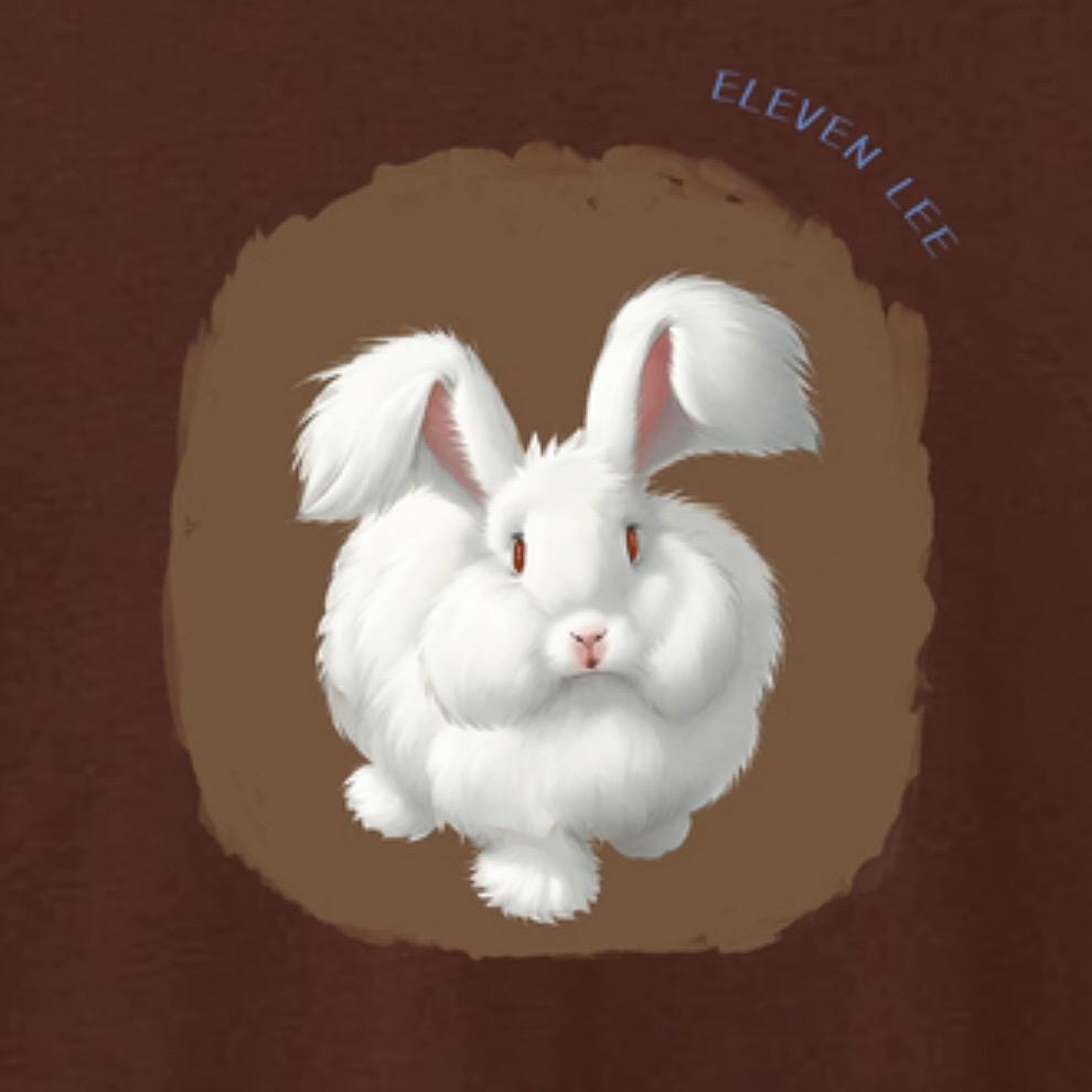 安哥拉兔李十一