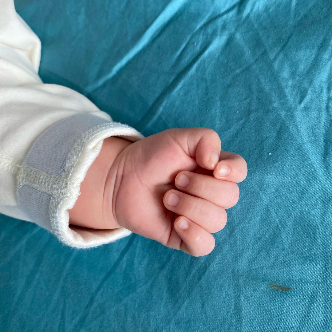 人间导航陆吃吃