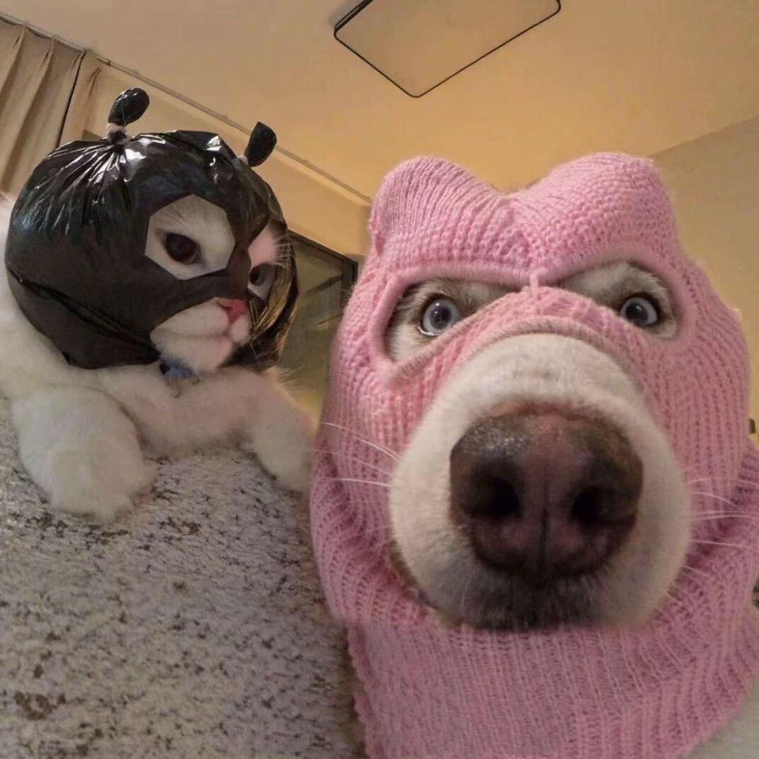 意.