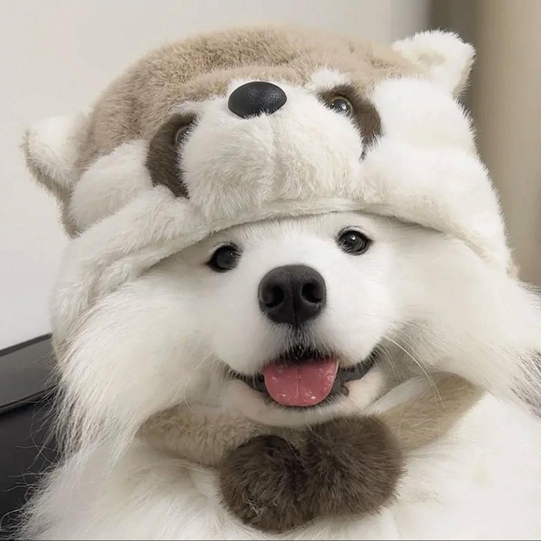 风驰重机经典怀旧老车