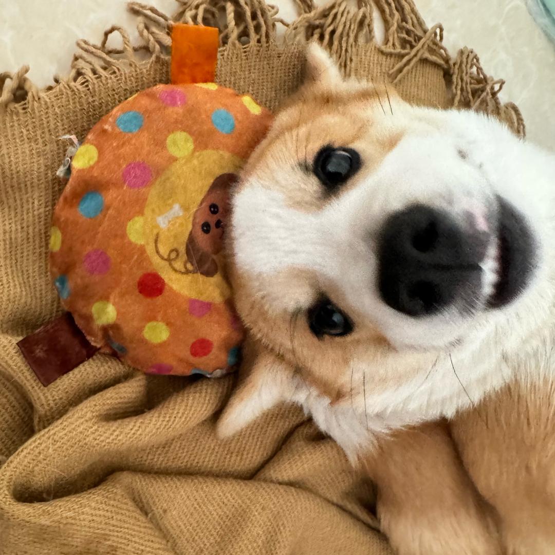 胡灿灿