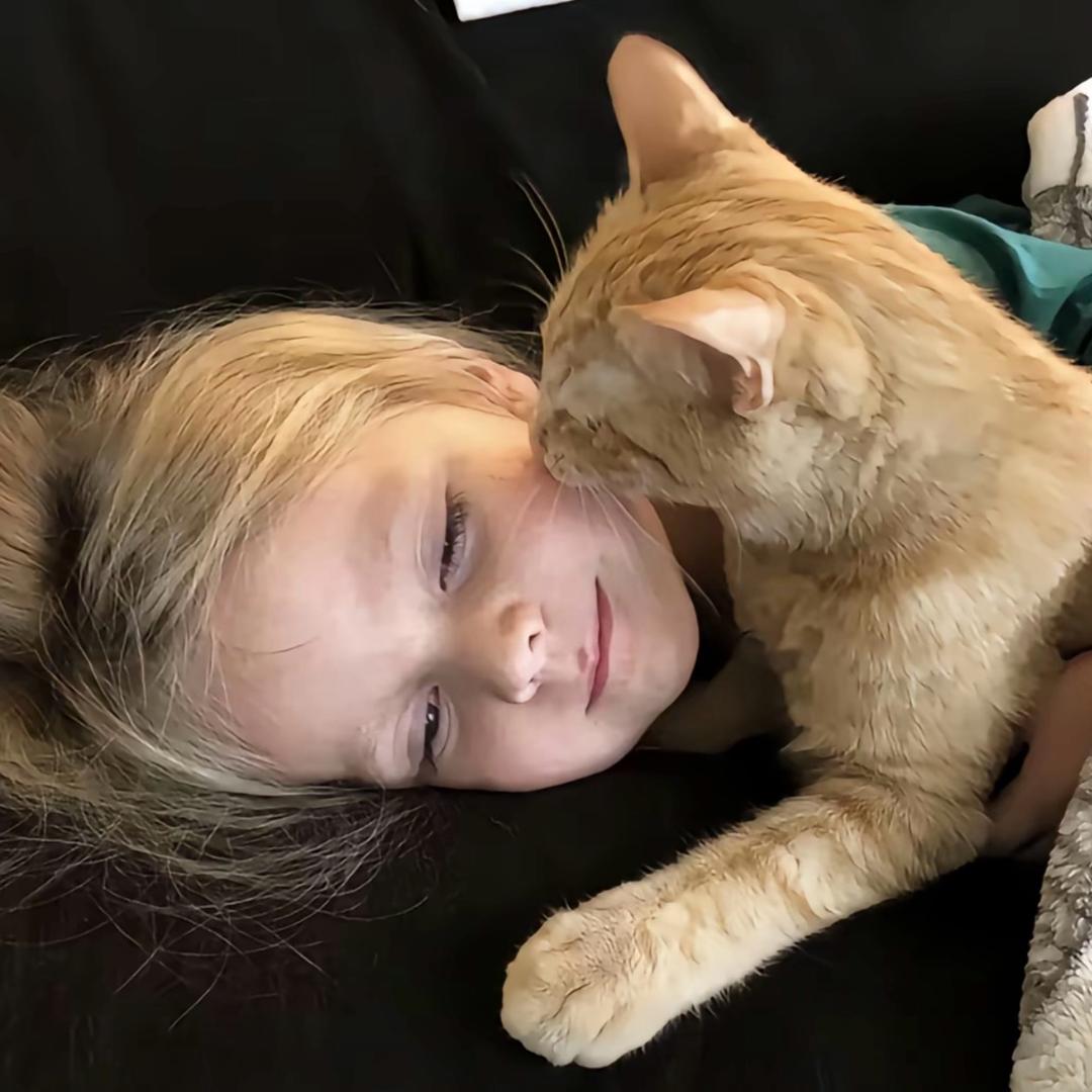 讨厌下雨天🌧️