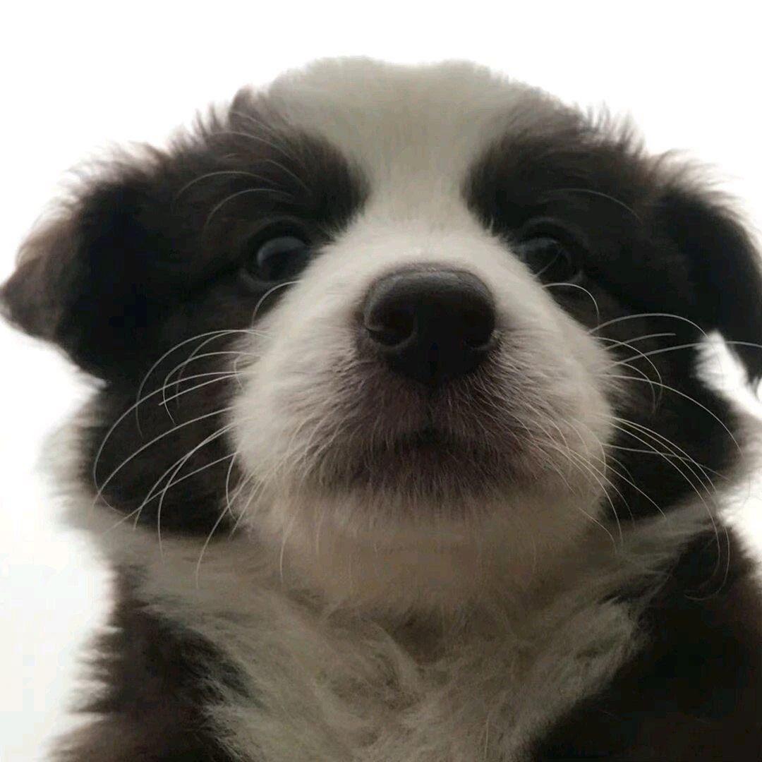 建材王哥