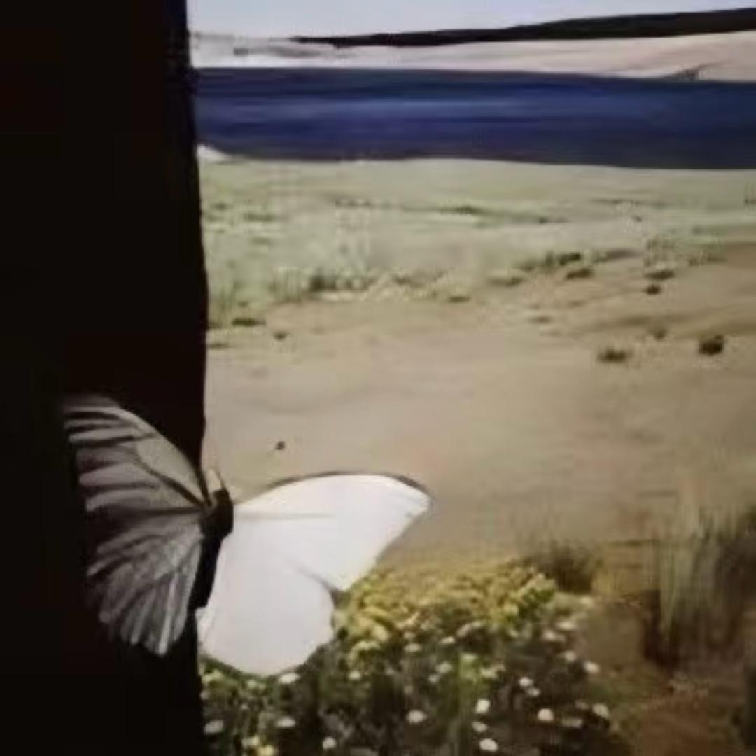 牙疼去死打败牙疼