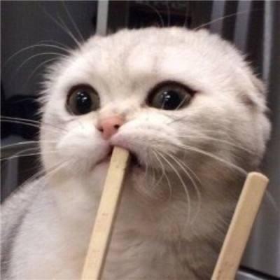 。。