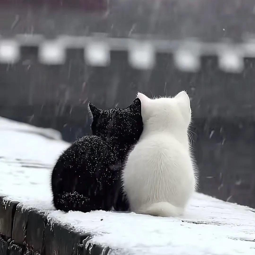 小李吖˗ˋˏᰔᩚˎˊ˗