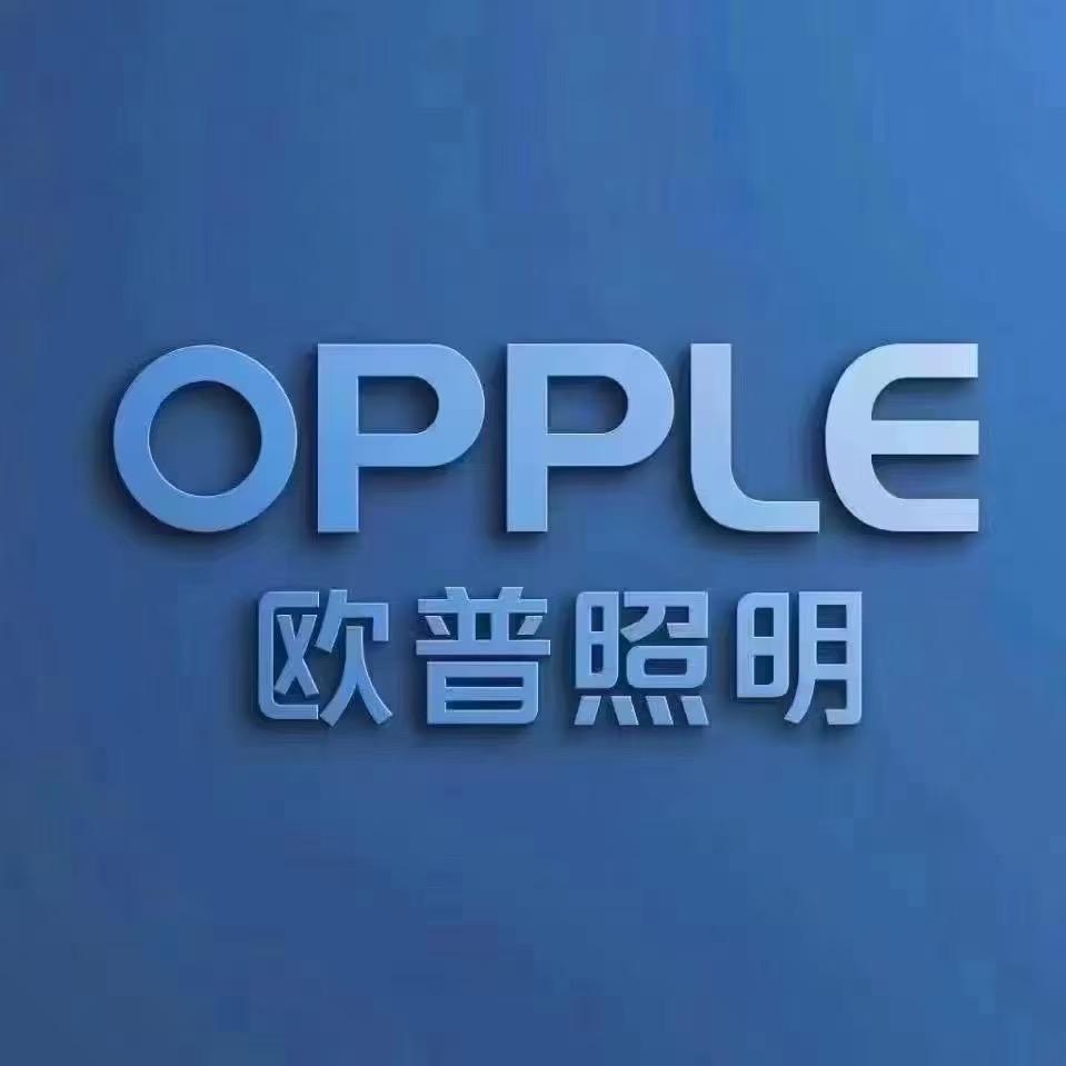 欧普照明（邵阳市店）