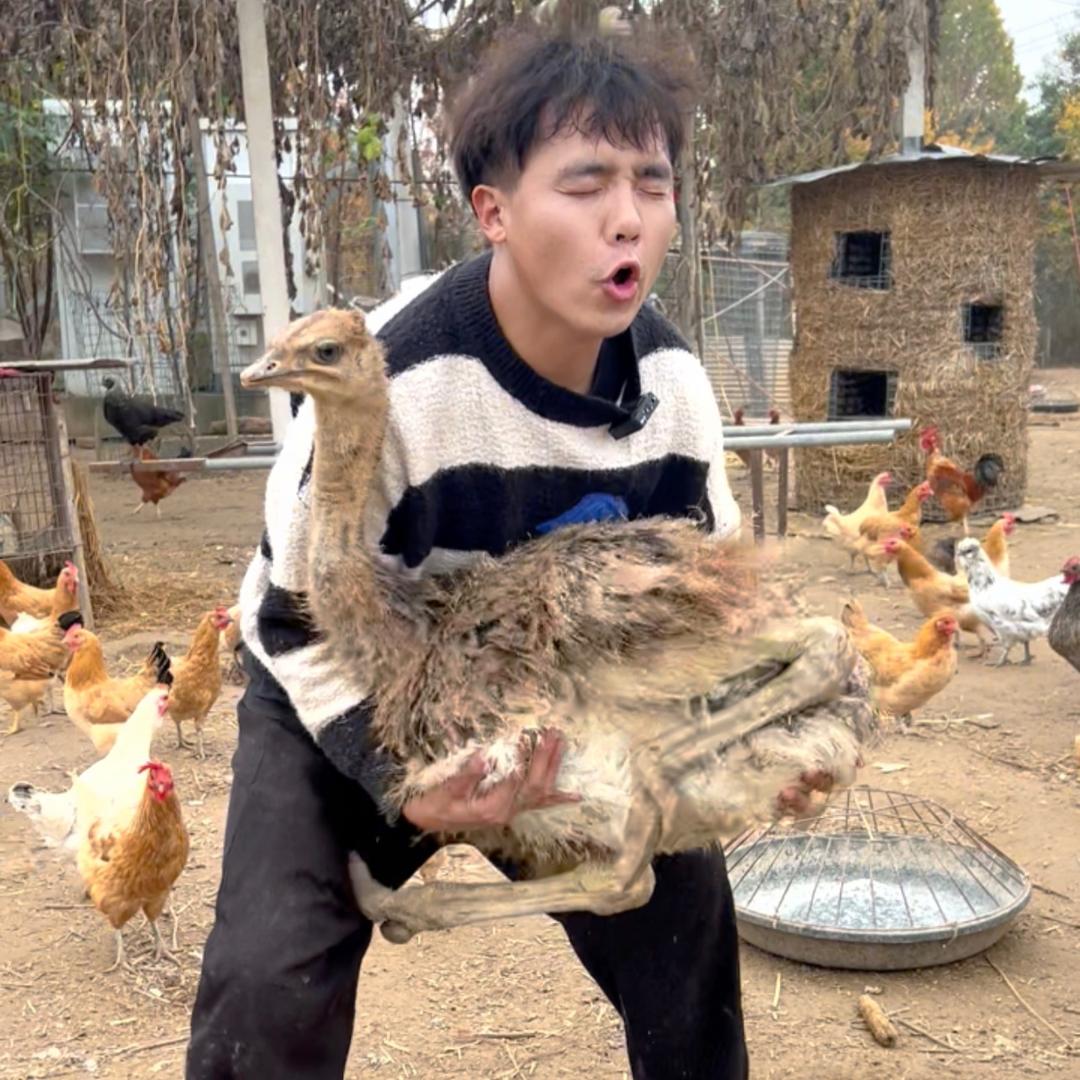 守村人张扬✌️