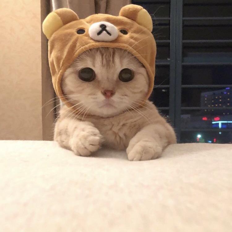 小泥精选