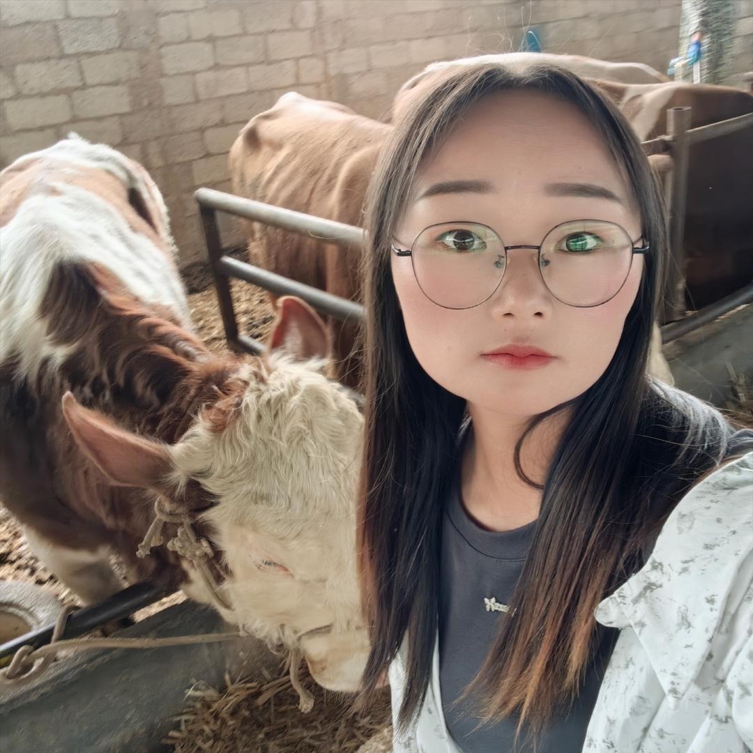 小管是养牛的
