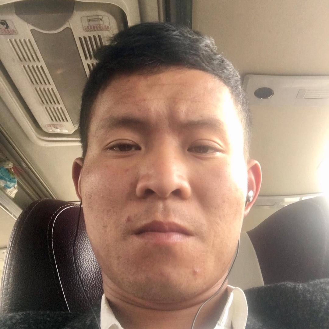 杨力