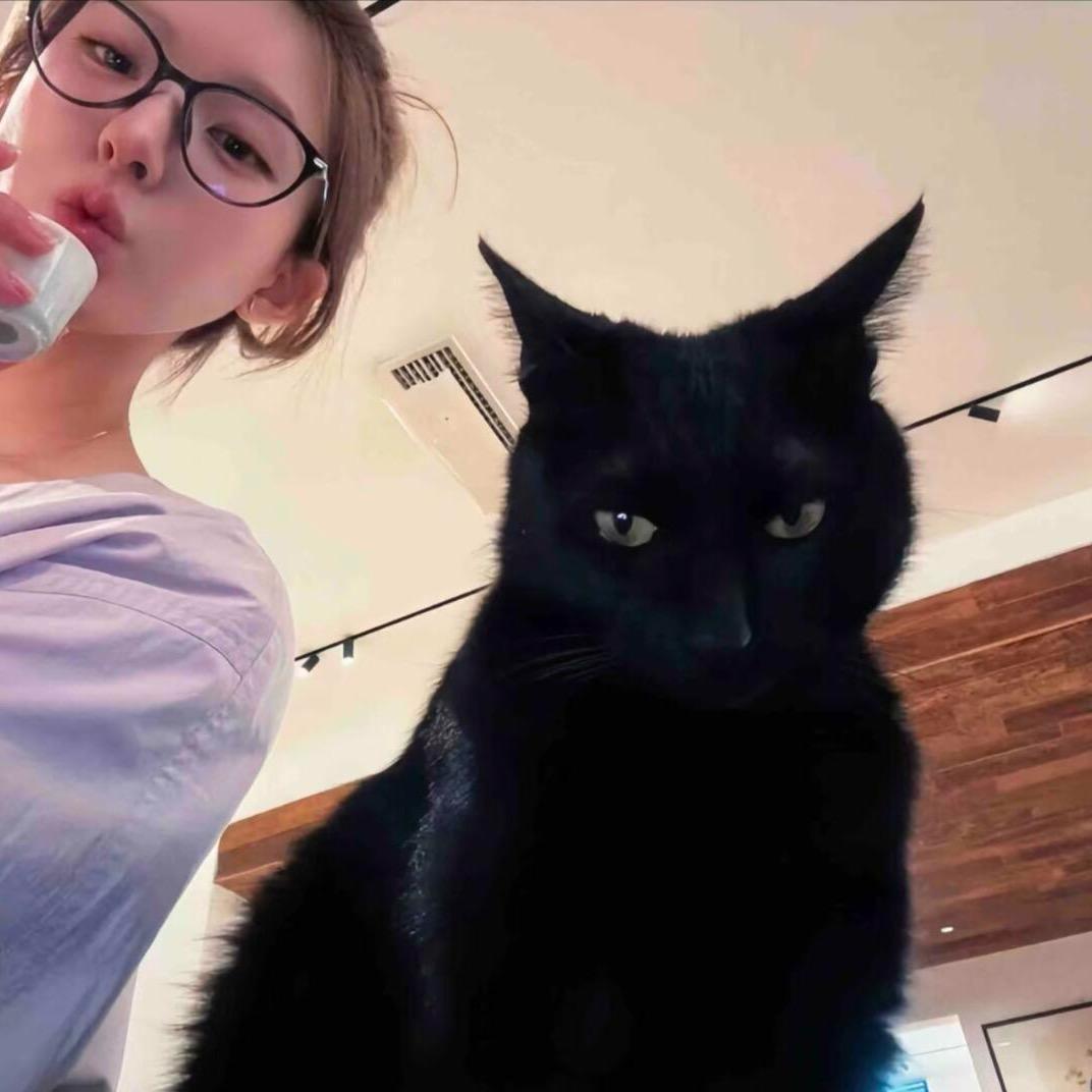 七安        🐈‍⬛