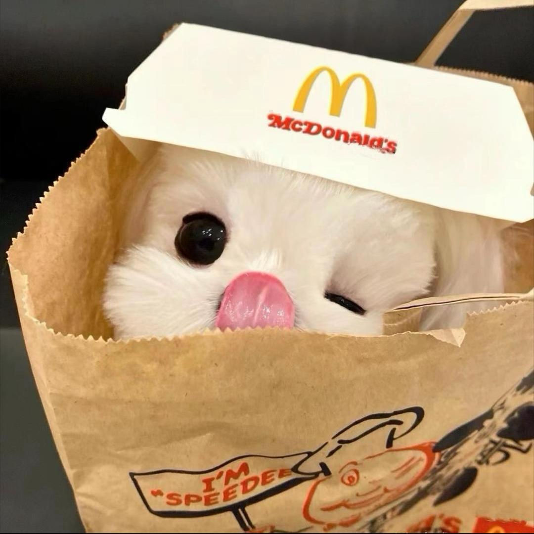 呆呆胶布