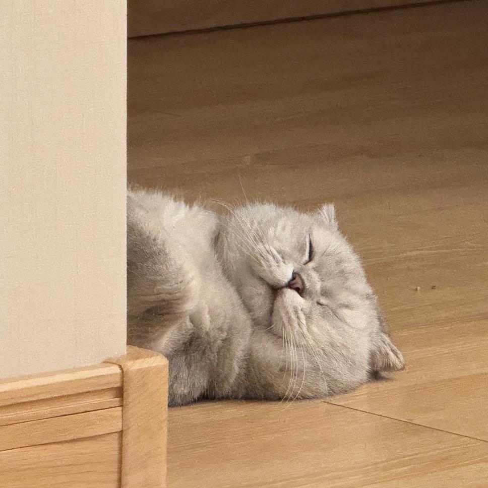Luna