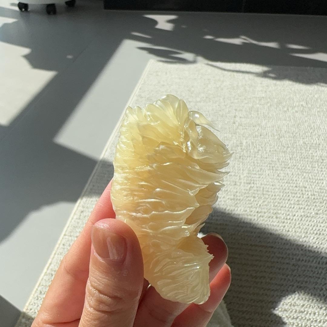 程大大