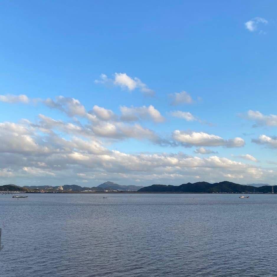 金斓