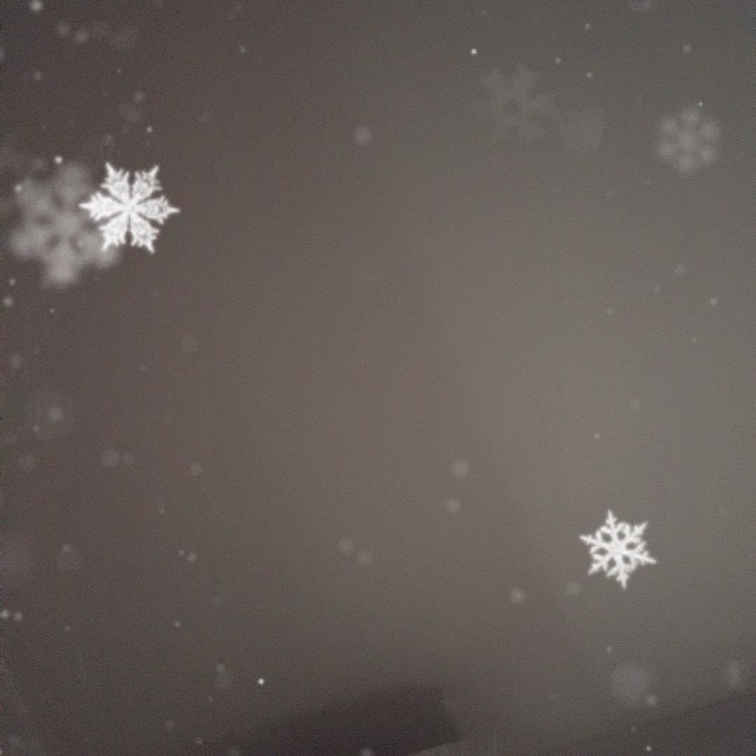 亲情是什么