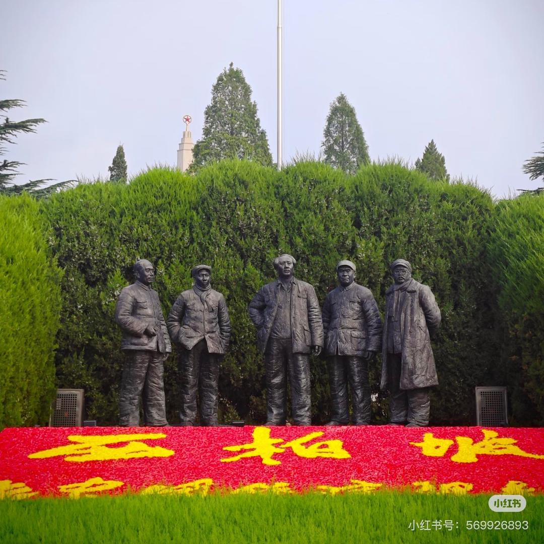 为🐟(正义)而战