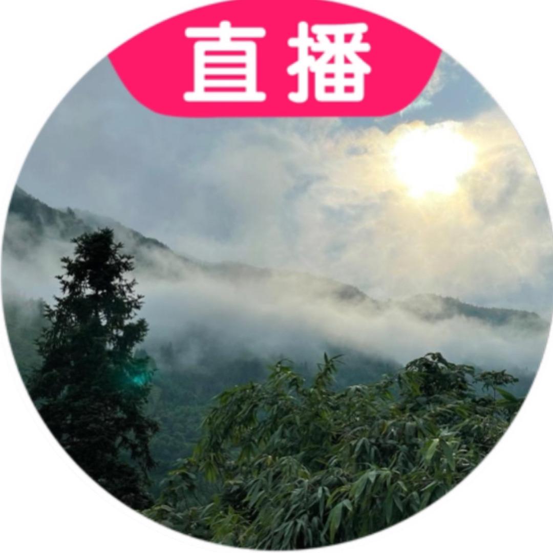 陳~不会📸滴~