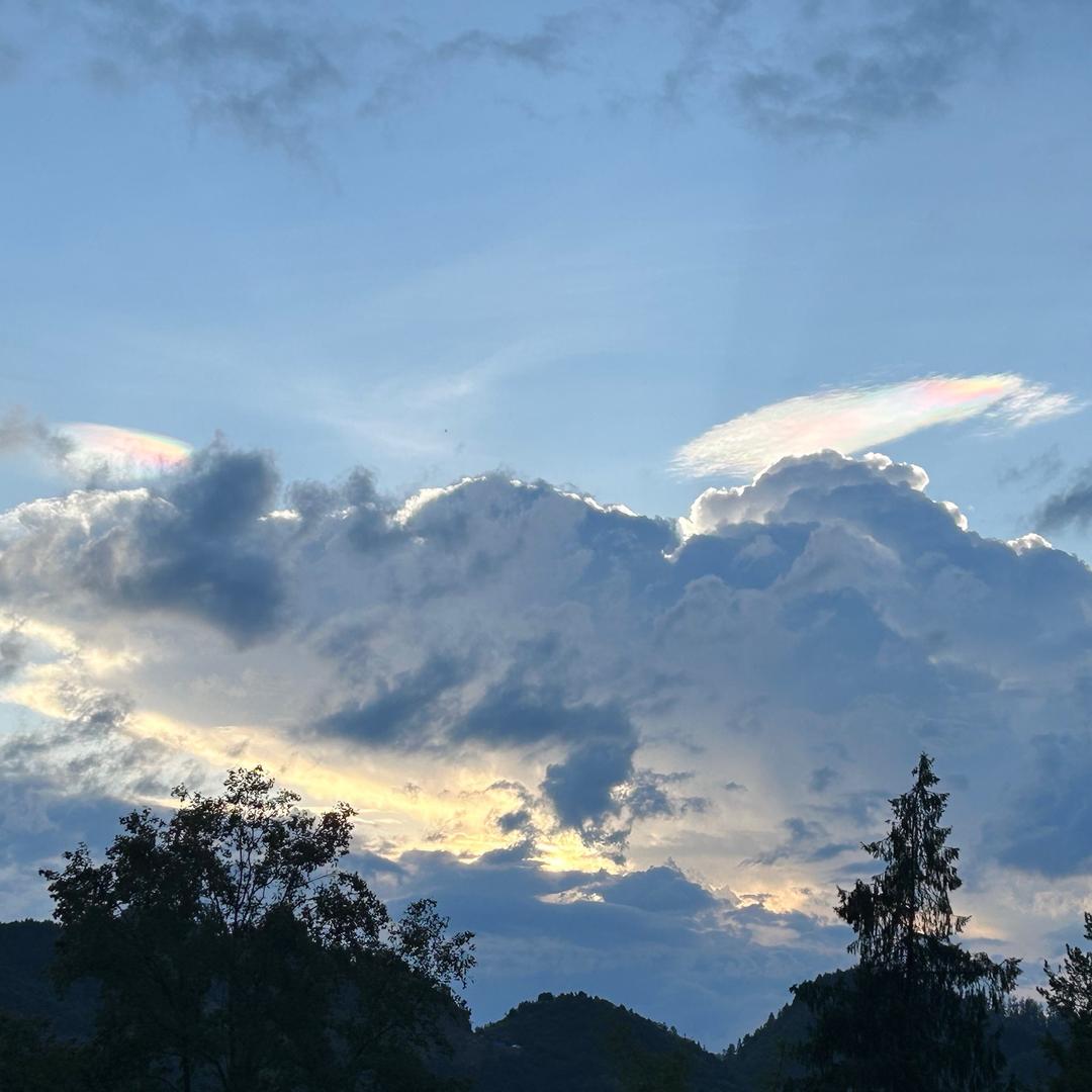 🍃🍃🌸☘️☘️