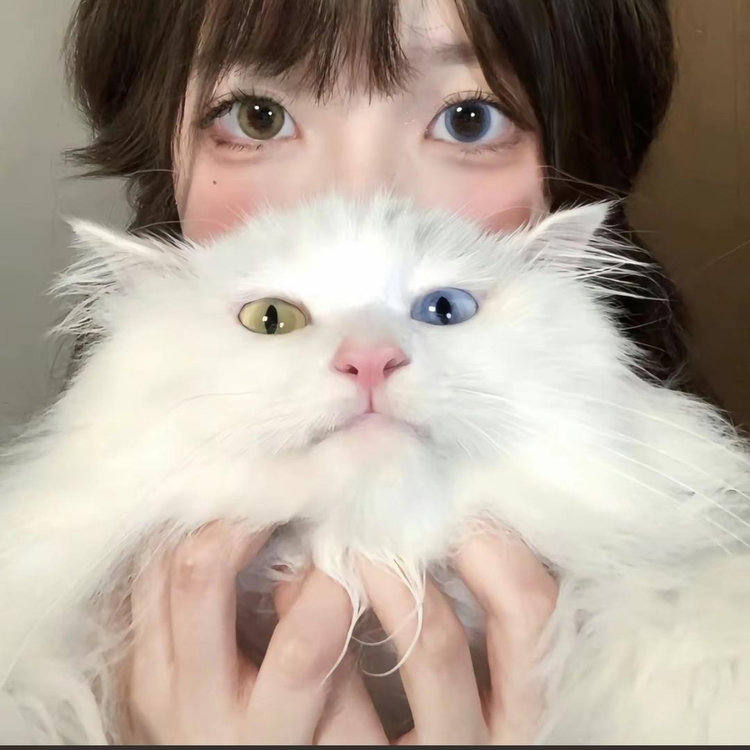 偏铝酸Na.