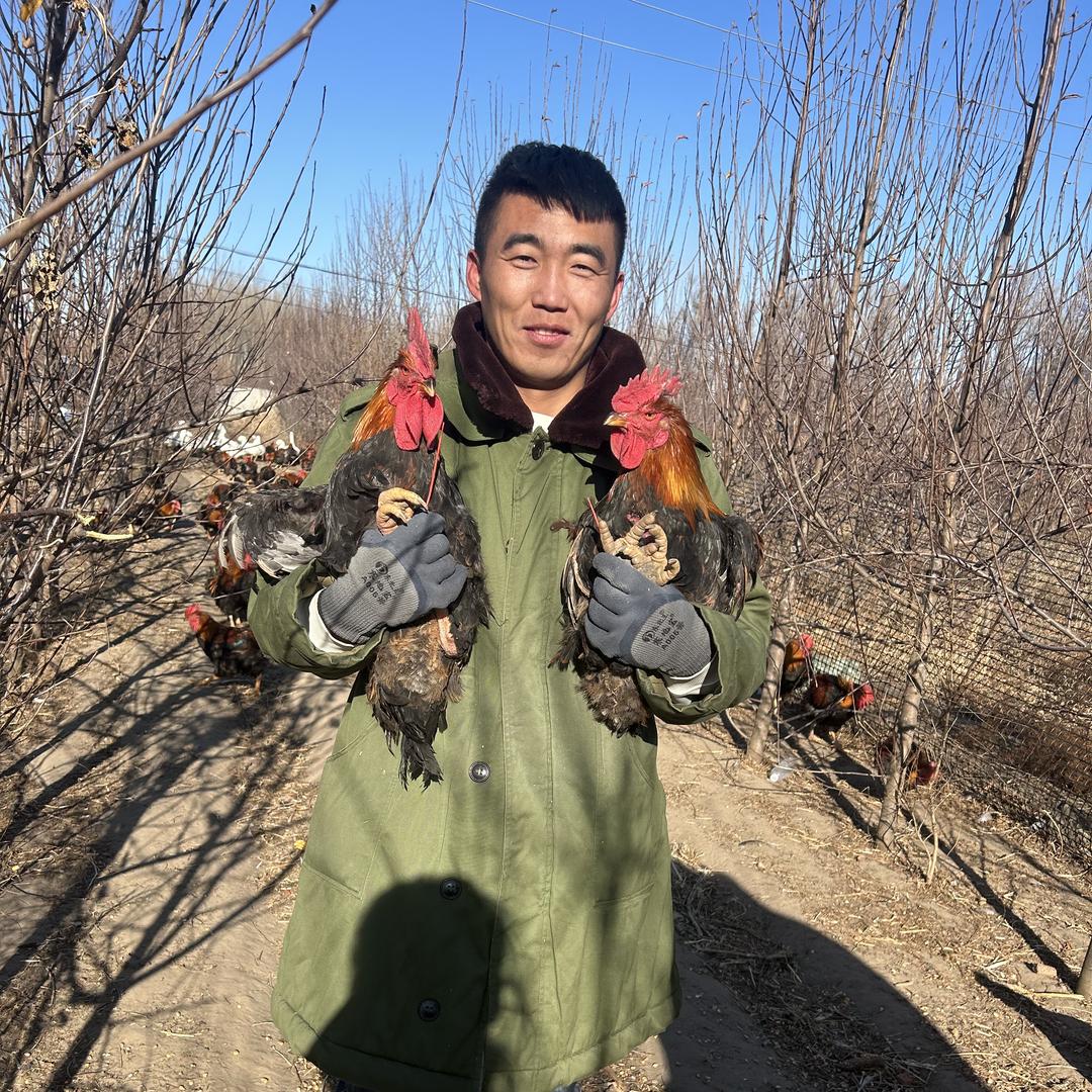 小龙哥东北特产