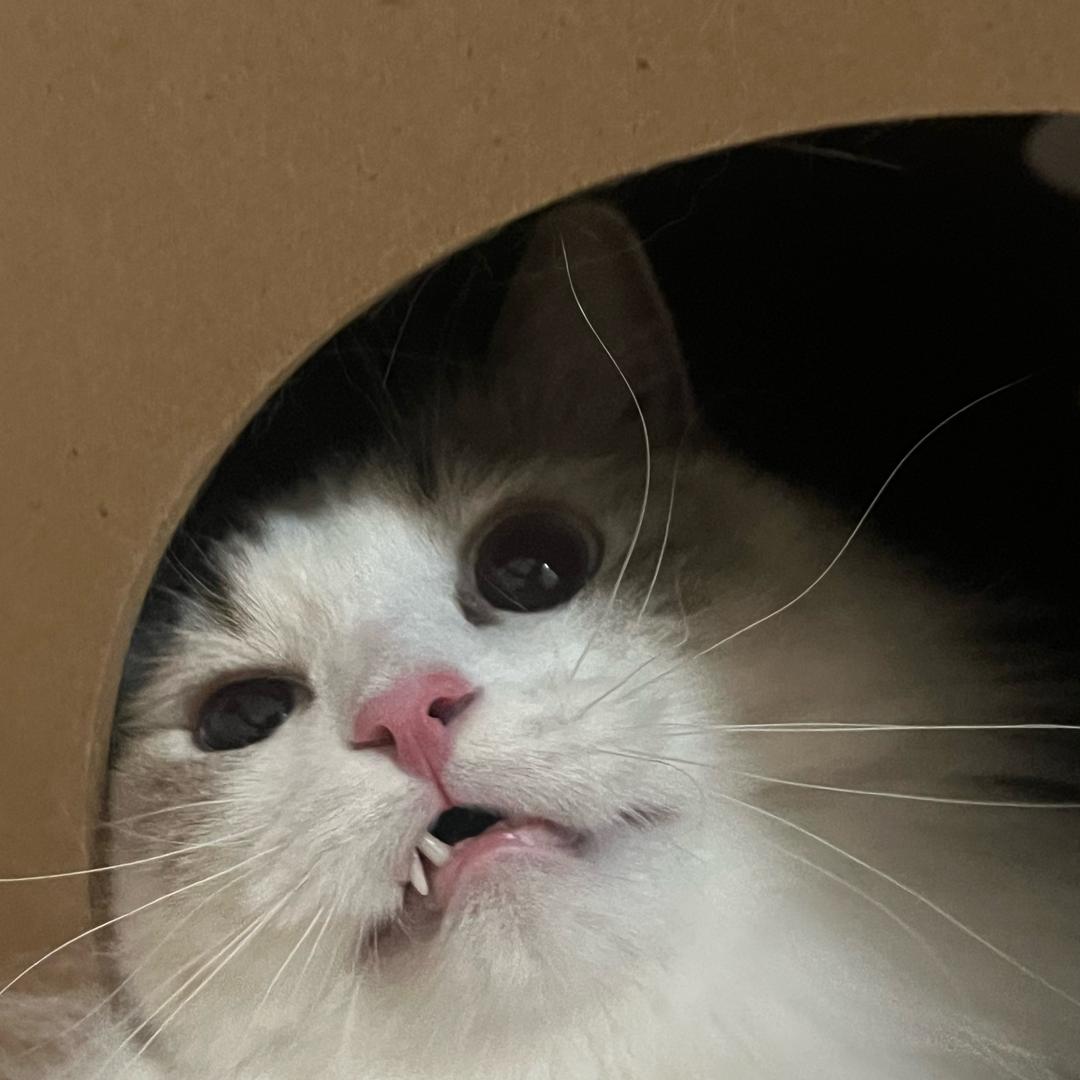 的的