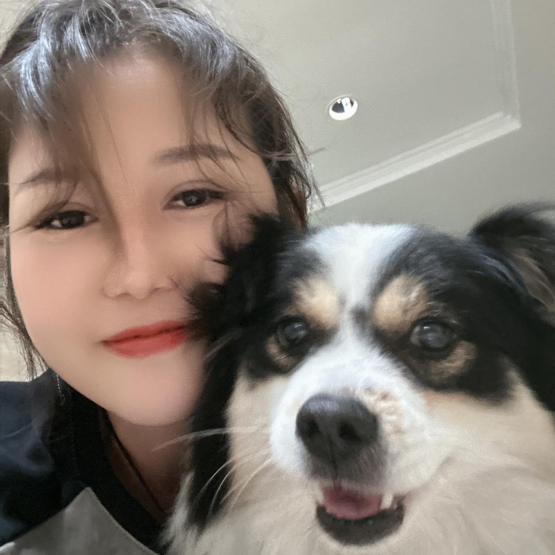 惠州，名点寿司