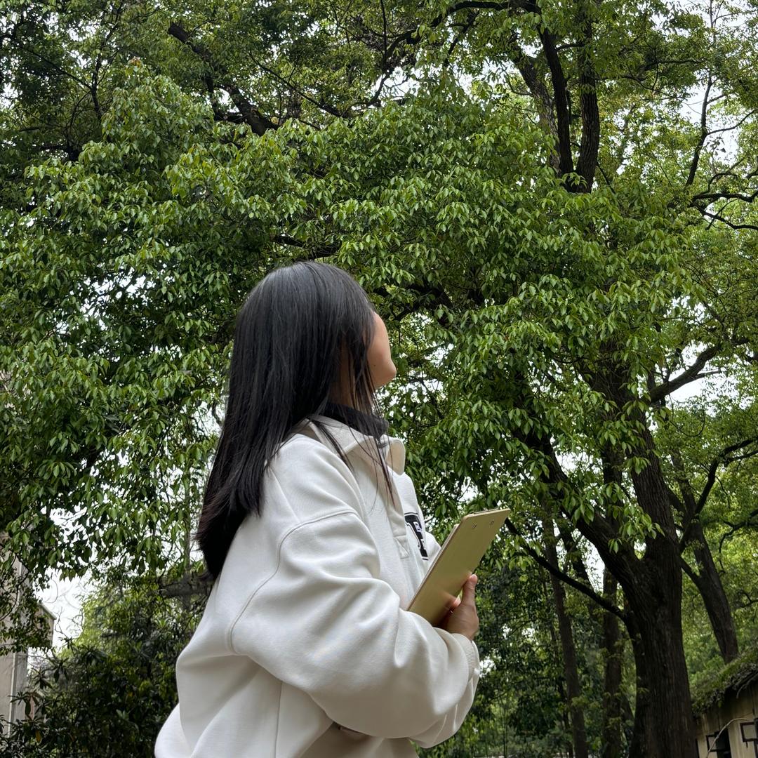 爱画画的樱子