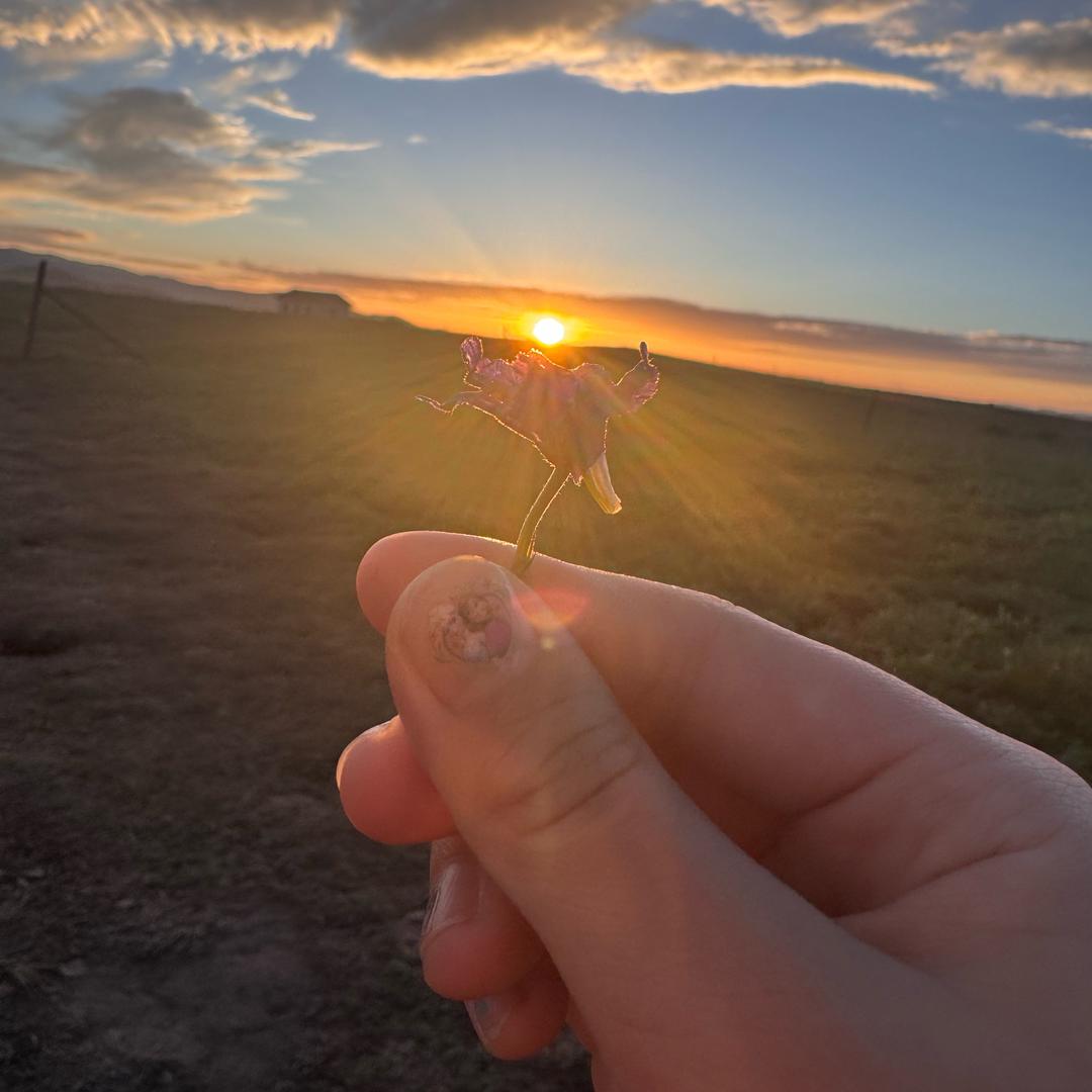 社保规划～夏天