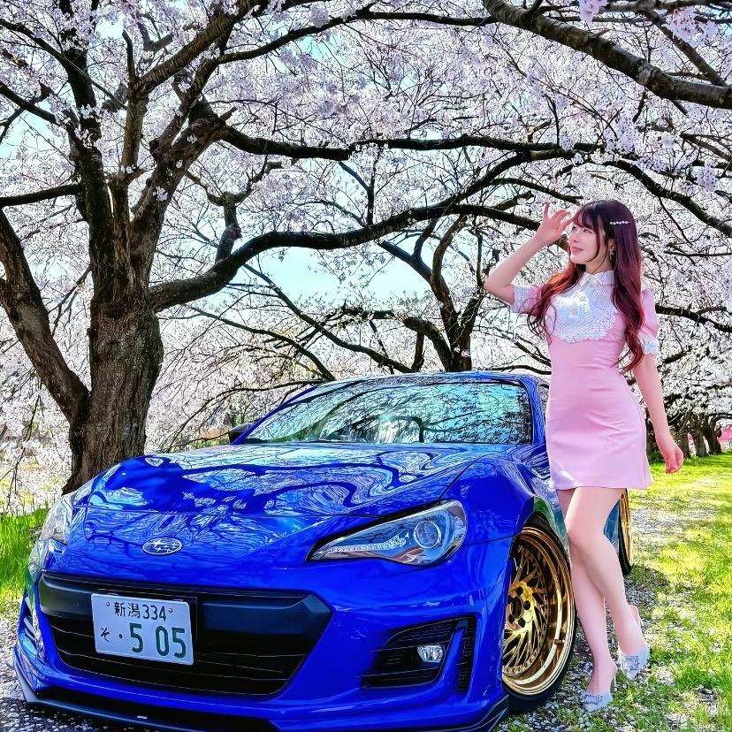 K的眼泪