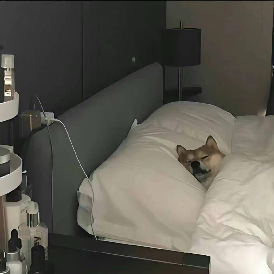 少来烦我