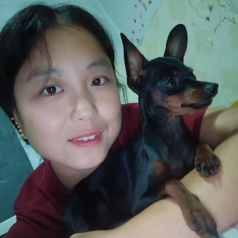 开原小奇小鹿犬养殖基地