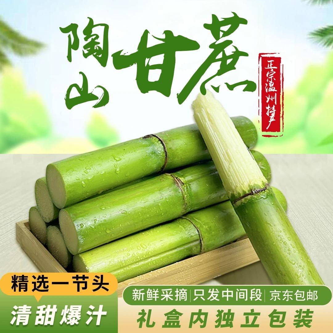 正宗陶山甘蔗